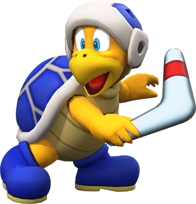 Boomerang Bro