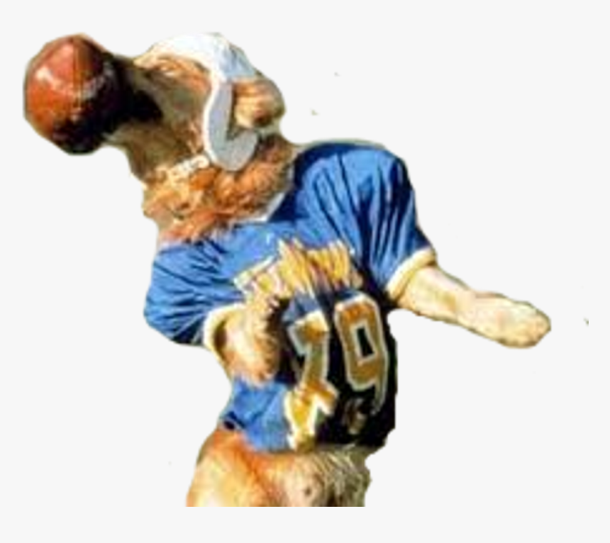 Air Bud